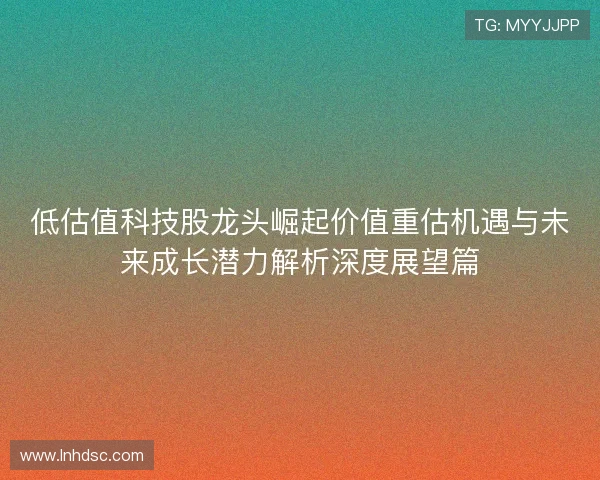 低估值科技股龙头崛起价值重估机遇与未来成长潜力解析深度展望篇