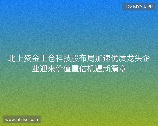 北上资金重仓科技股布局加速优质龙头企业迎来价值重估机遇新篇章